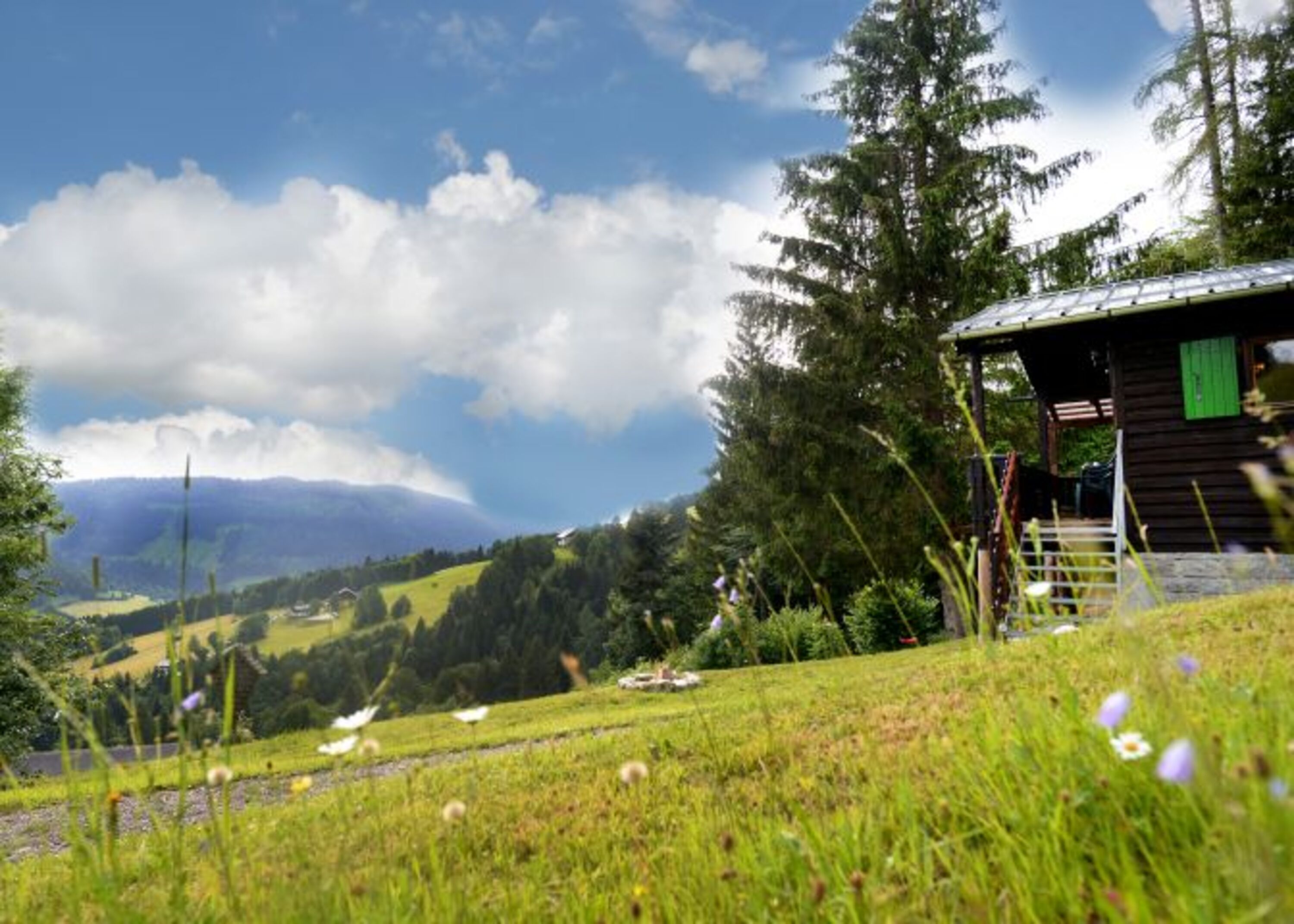 Bild 5