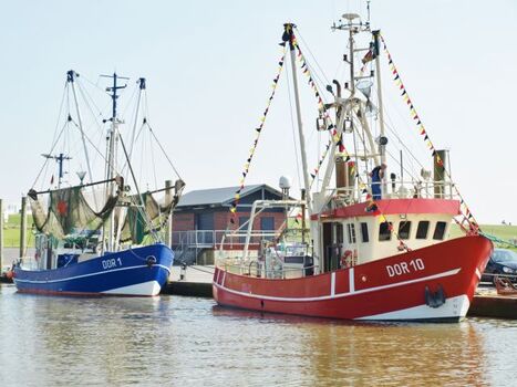 der Kutterhafen, in wenigen Minuten fußläufig erreichbar