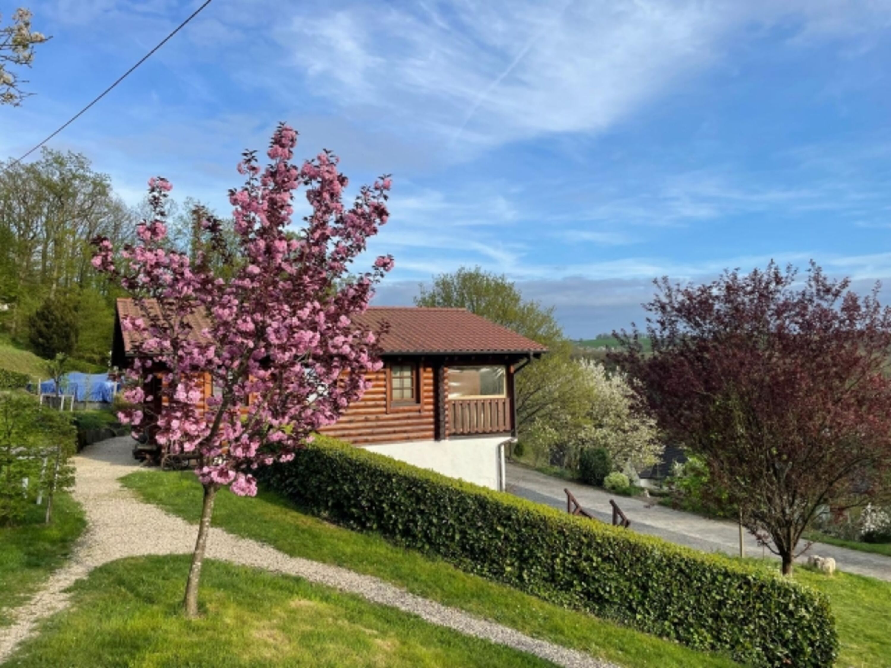 Frühling im Westerwald
