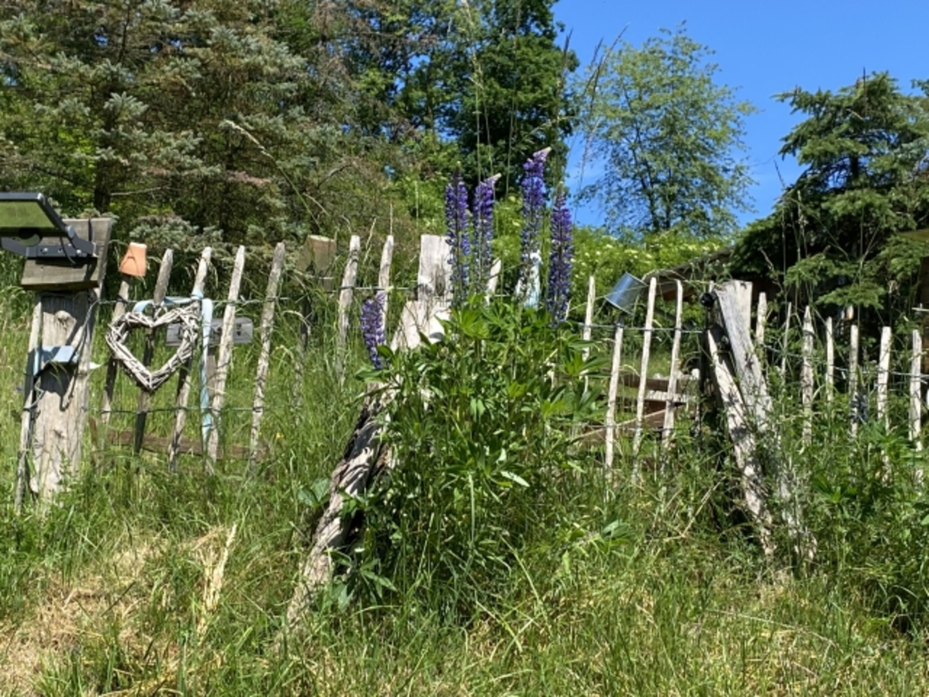 Lagerfeuerplatz