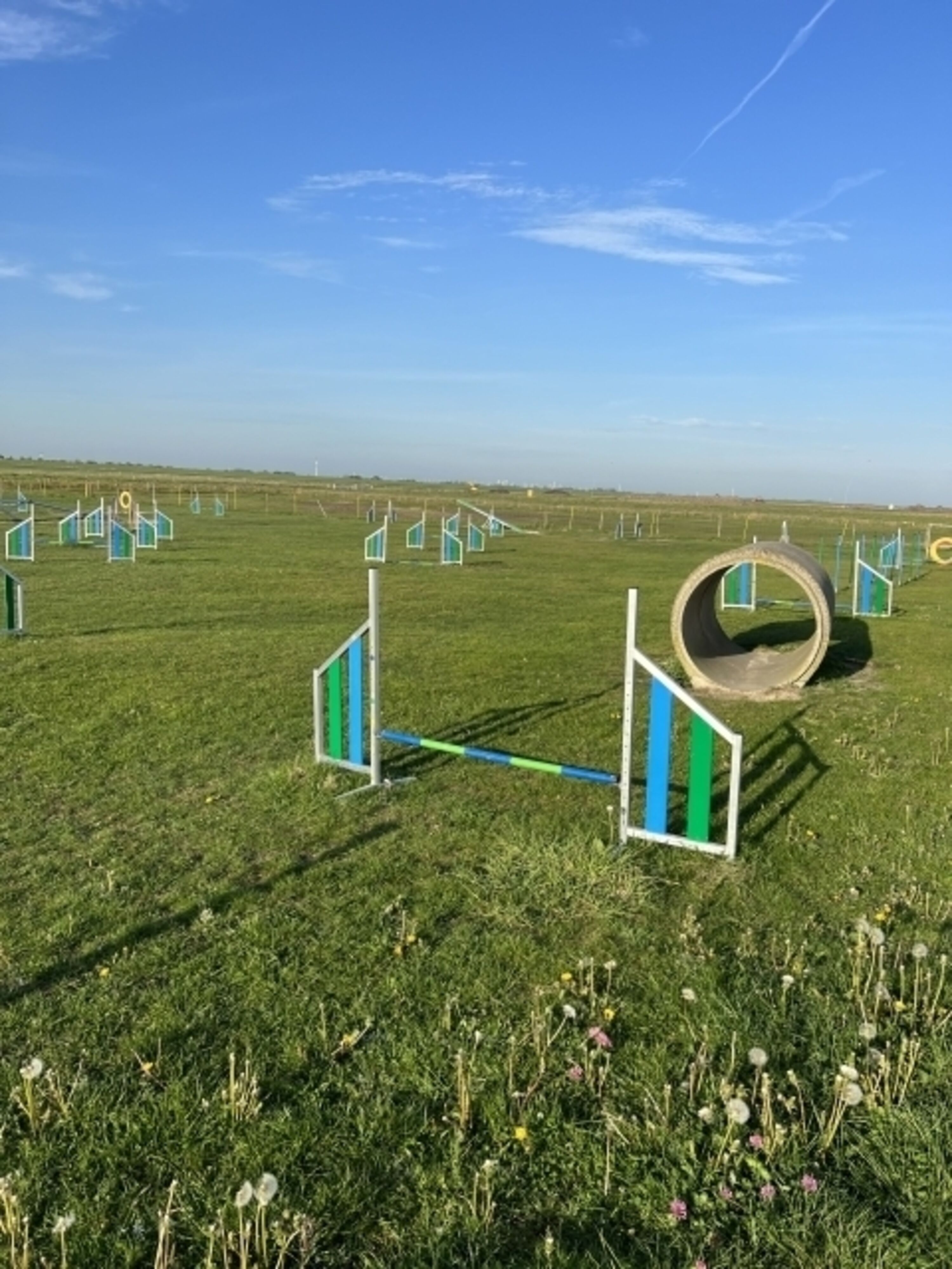 Agylityplatz am Strand 