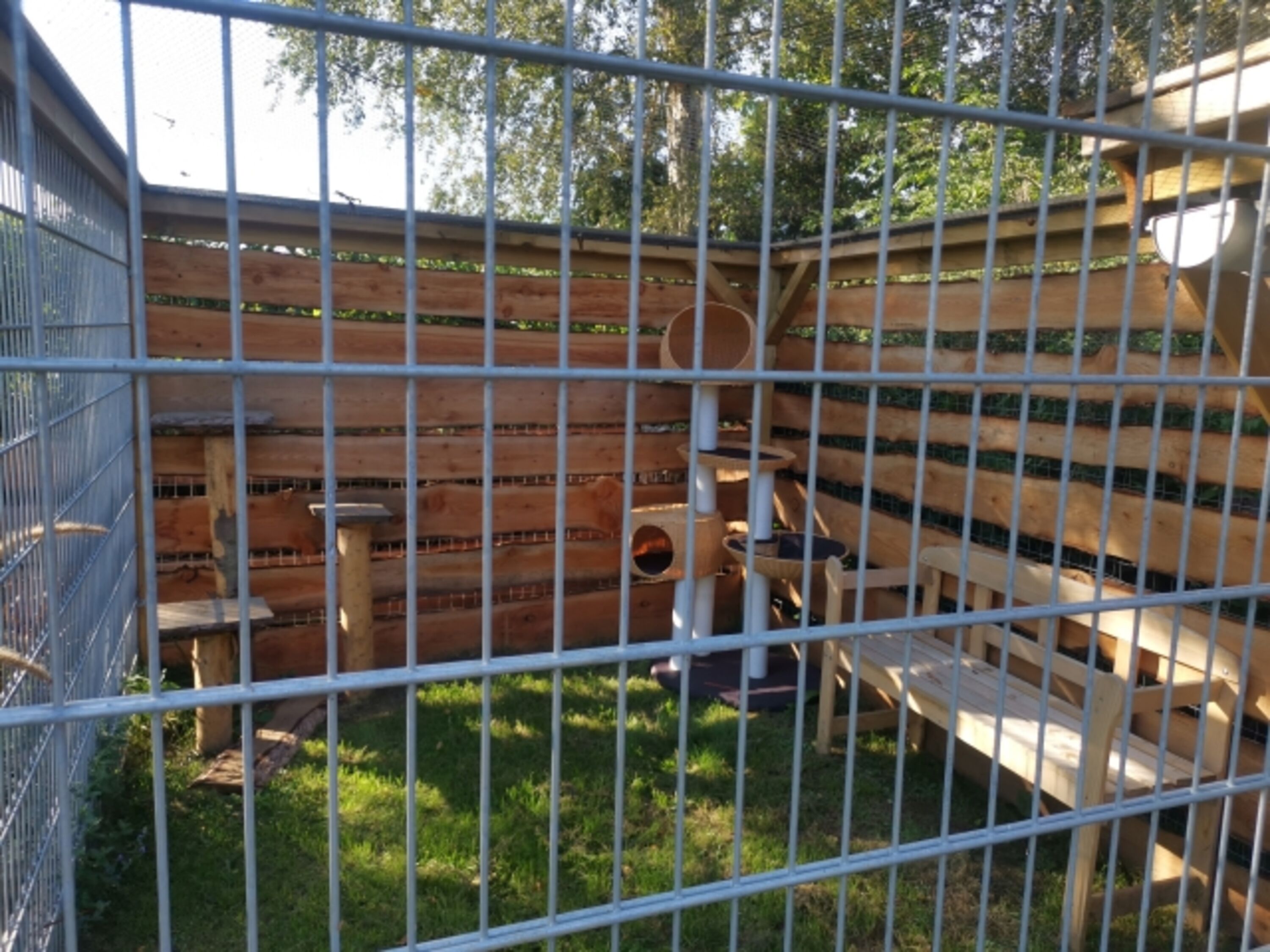 Katzenfreigehege