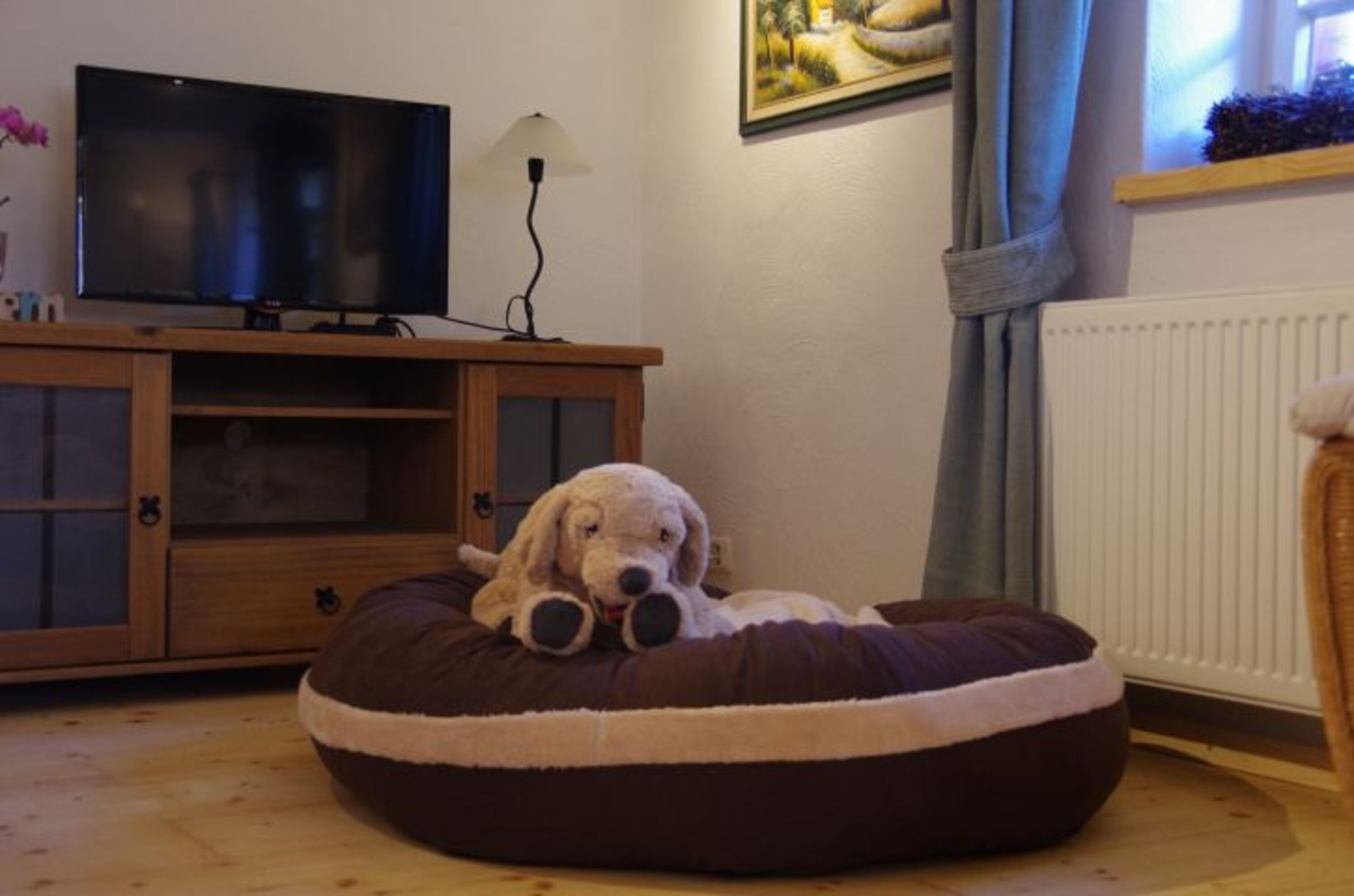 Bild 8