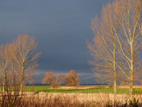 Kaute von Ofenzimmer und Terasse aus