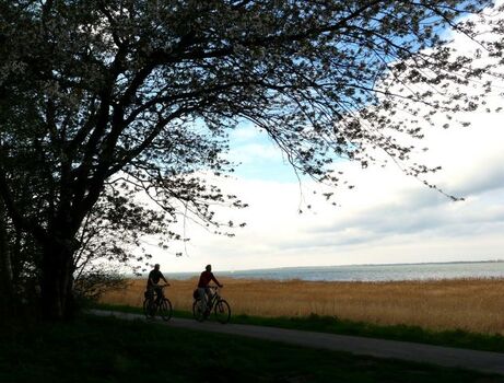 Ostseeradweg auf dem Damm bei Nisdorf