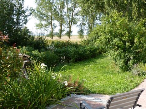 Von Terrasse zum Bodden