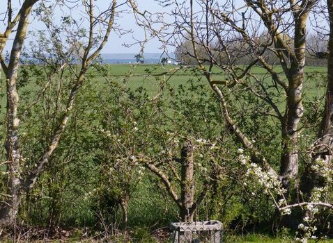 Durch die Nussbäume zum Hafen
