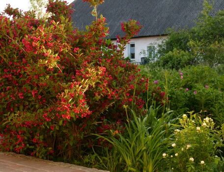 Richtung freundlicher Nachbar