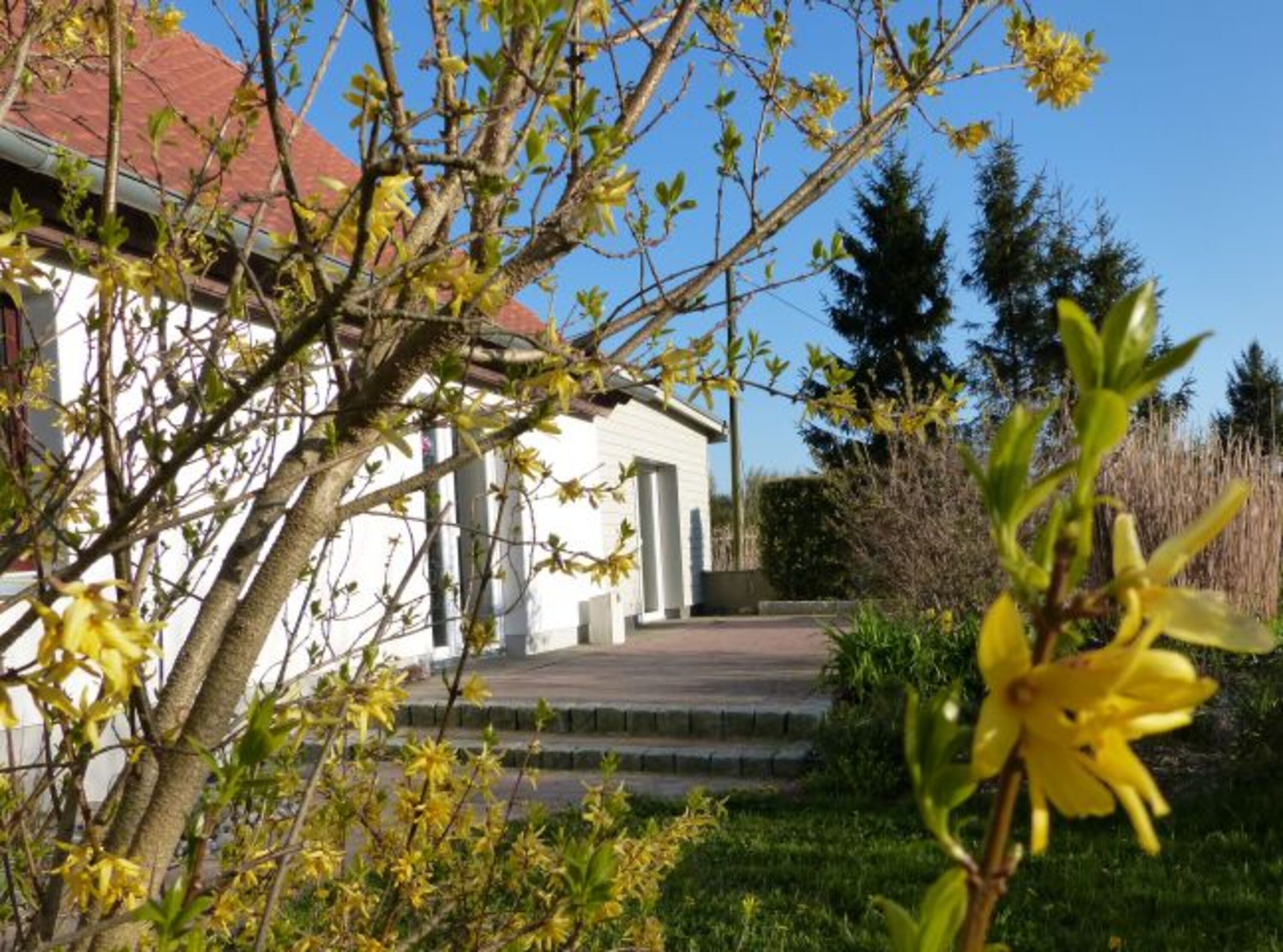 Bild 9