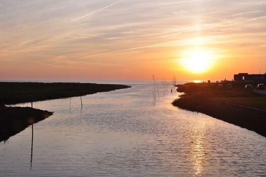 Siel im Sonnenuntergang