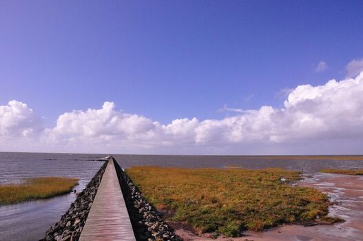 Steg in Spieka Neufeld