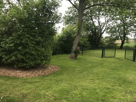 Garten komplett eingezäunt 