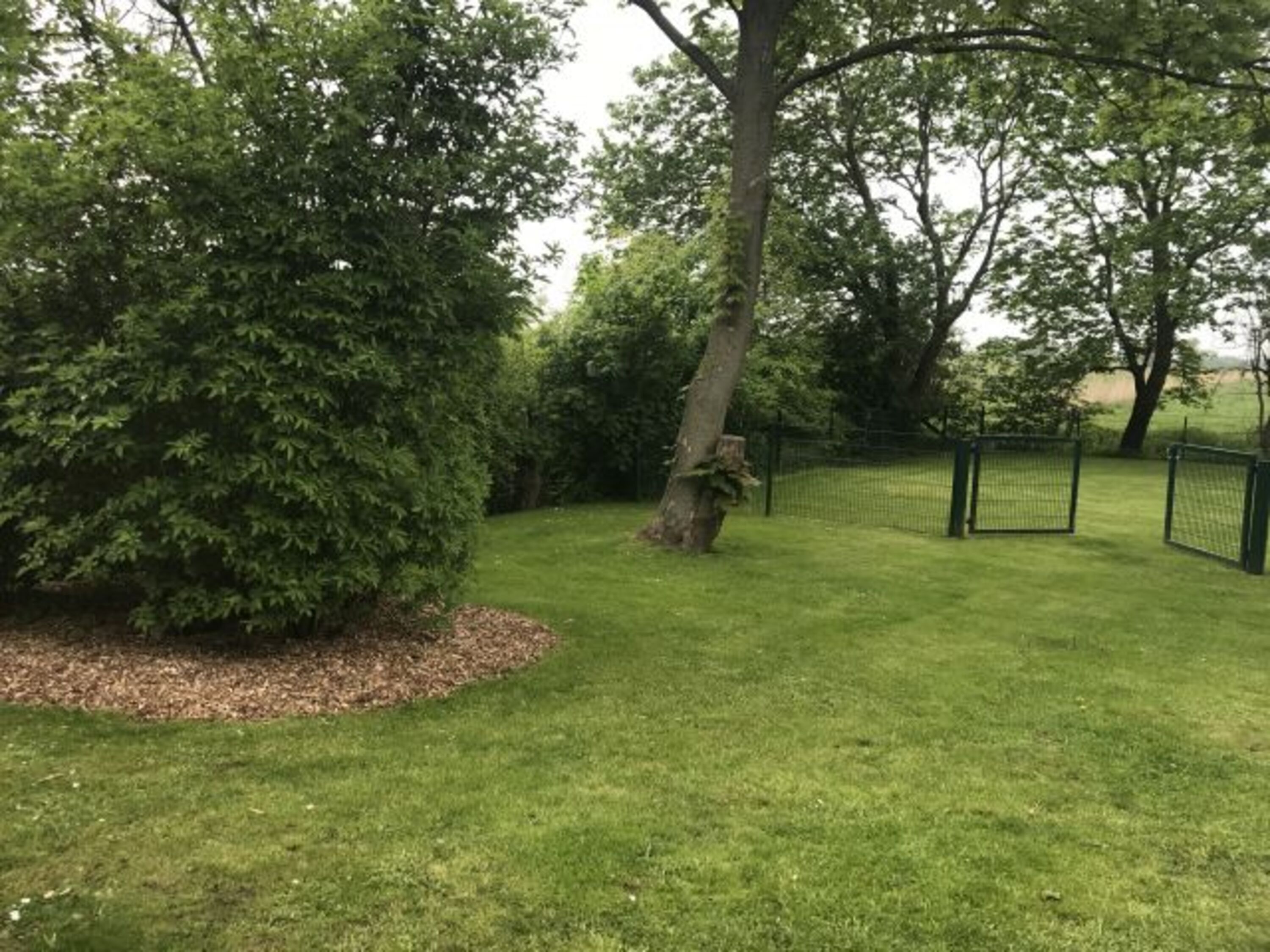 Garten komplett eingezäunt 