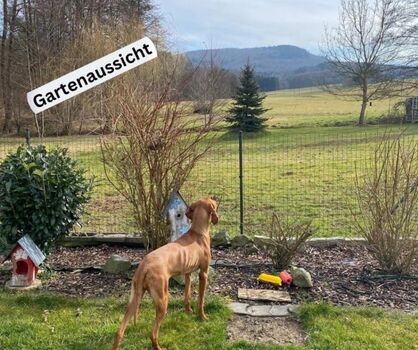 Für alle, die wieder spüren wollen, wie gut Natur tut.