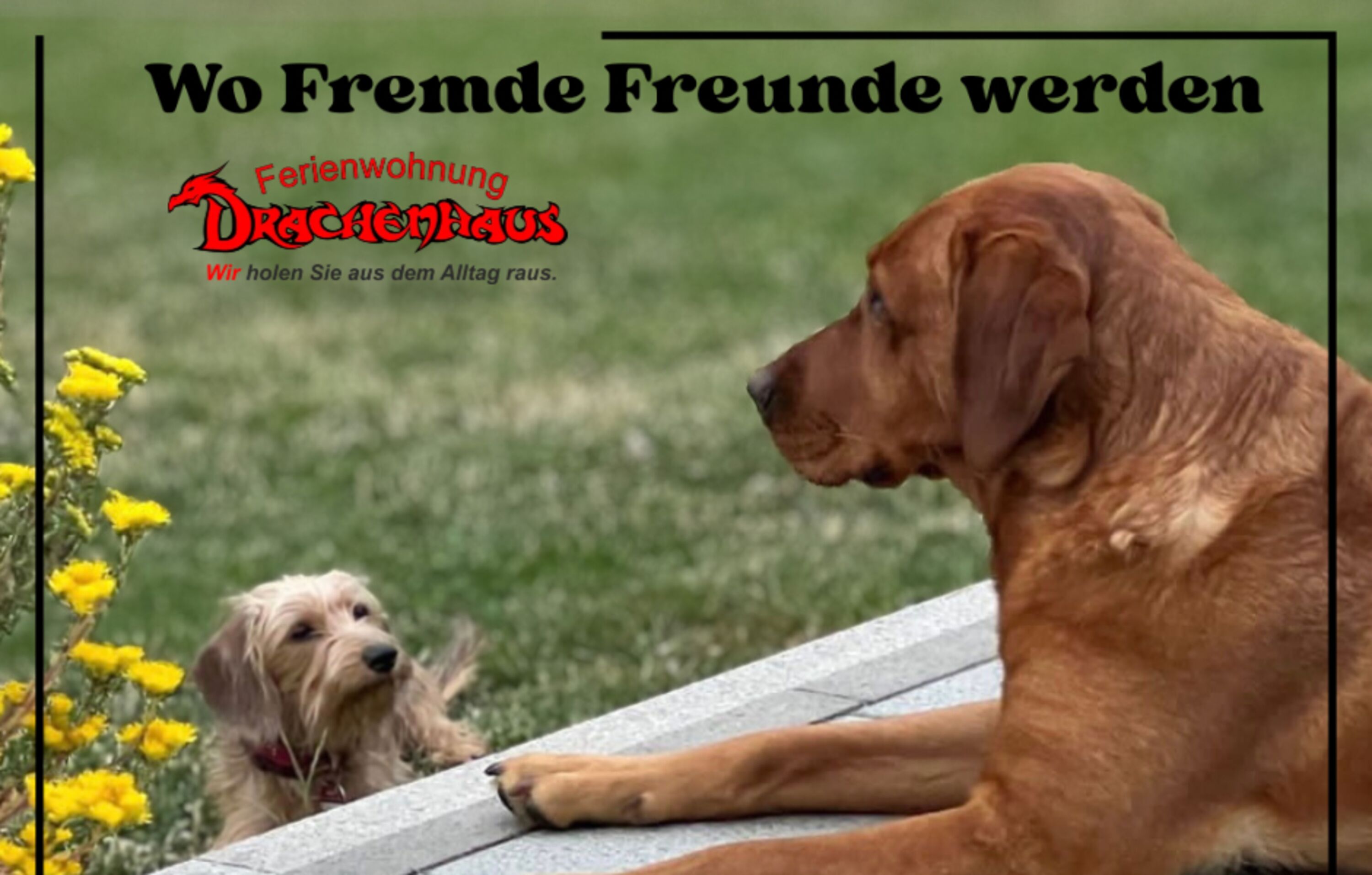Urlaub im Odenwald