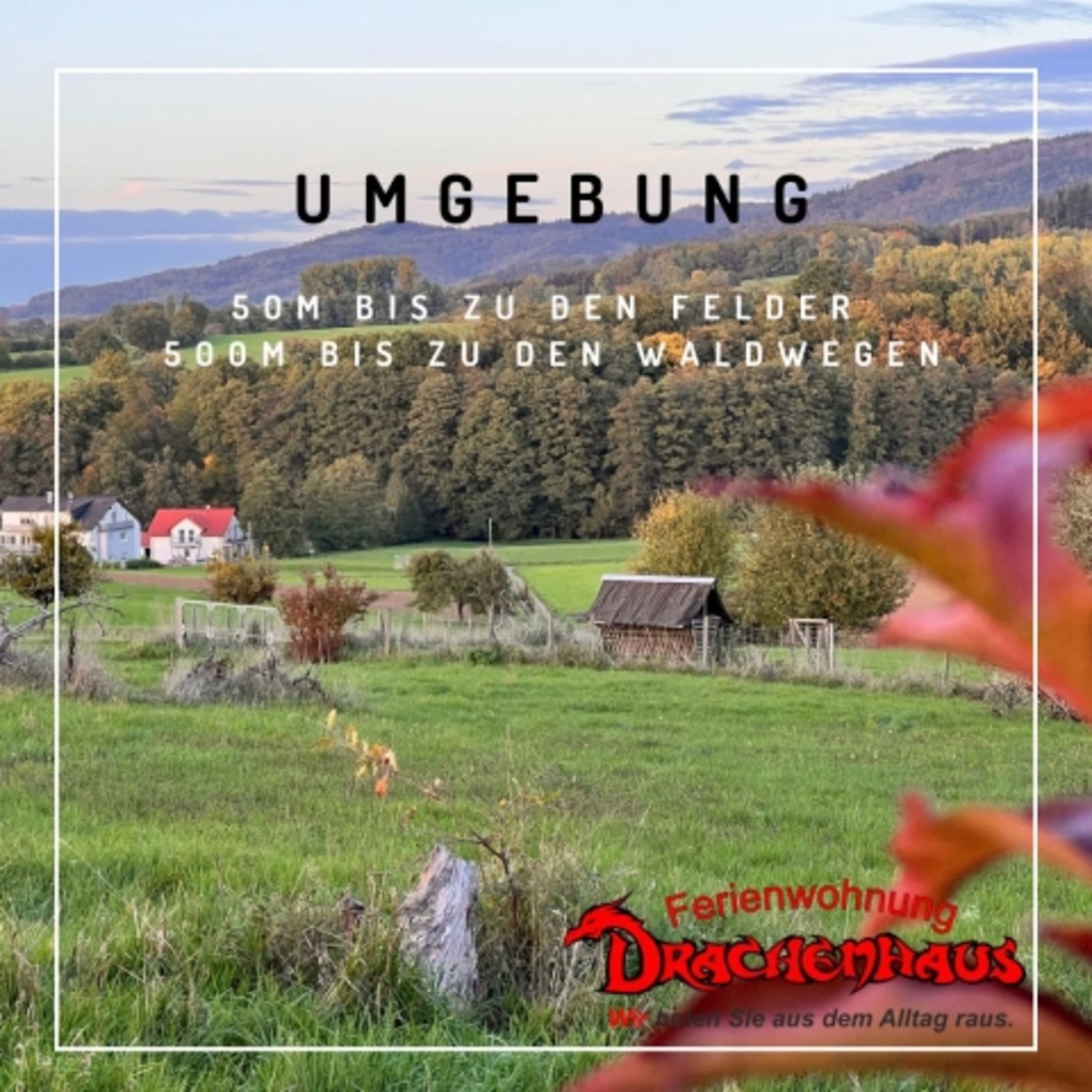 Umgebung der Ferienwohnung