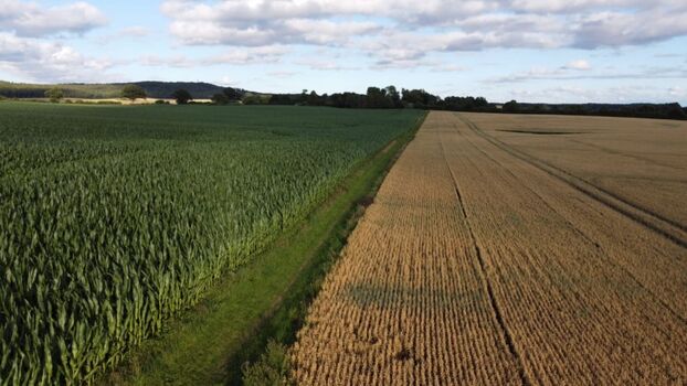 Impressionen von der Umgebung 