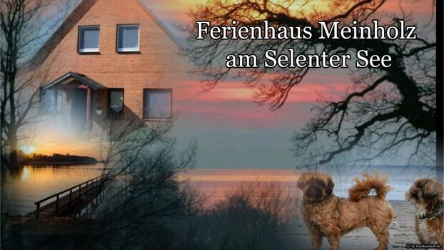 Ferienhaus Meinholz am Selenter See