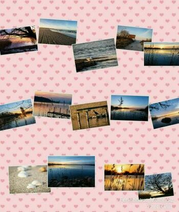 Die holsteinische Schweiz besticht durch ihre Vielseitigkeit