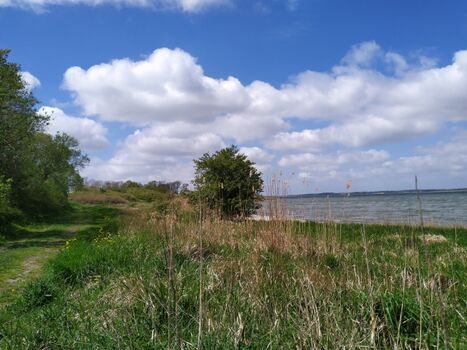 ausgiebige Spaziergänge an der Boddenküste