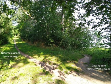 Naturstrand und Spaziergang ca. 100m vom Ferienhaus entfernt