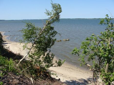 Naturstrand ca. 100m vom Ferienhaus entfernt