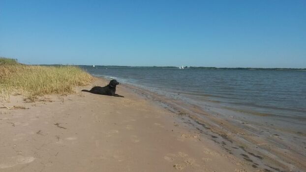 Naturstrand ca. 100m vom Ferienhaus entfernt