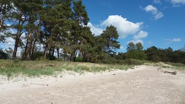 ausgiebige Spaziergänge an der Boddenküste