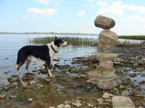 Naturstrand, teilweise auch mit Steinen