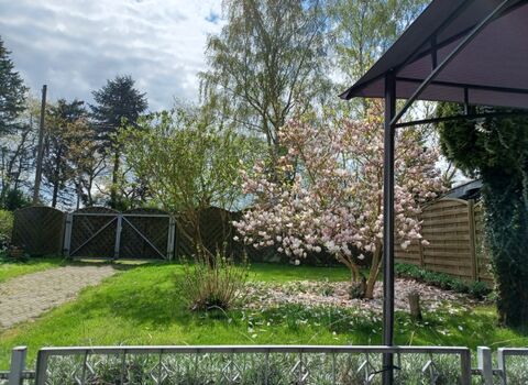 Blick aufs Grundstück