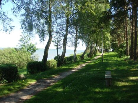 Weg ins Dorf Stahlbrode (ca. 900m)