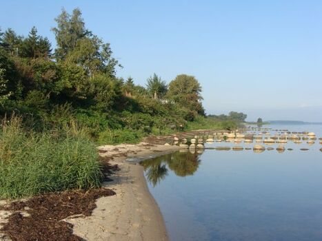 Naturstrand, ca. 60m vom Ferienhaus entfernt