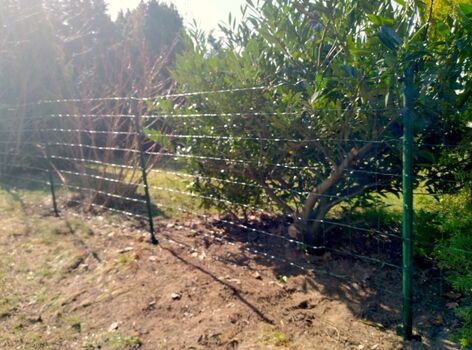 Zaun und Zaunsteckelemente, Höhe ca. 80cm