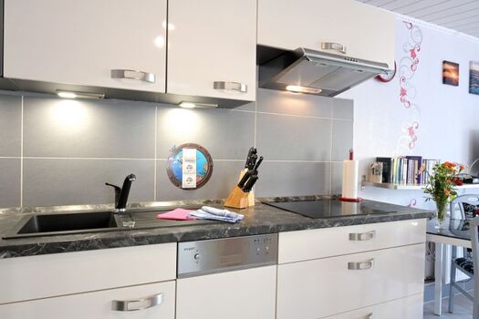 Emaillespüle,Geschirrspüler, Induktionskochfeld 