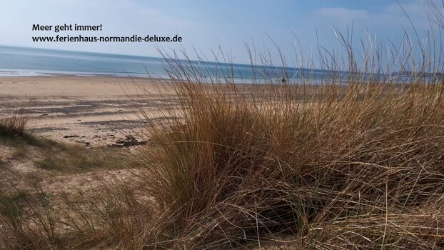 Urlaub in der Normandie mit Hund