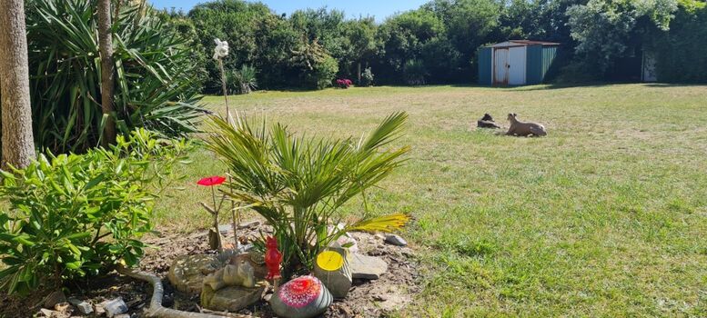 Garten, voll umzäunt