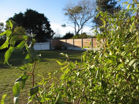 Blick auf die Einfahrt mit Zaun 