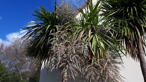 Urlaubsstimmung in La Dune