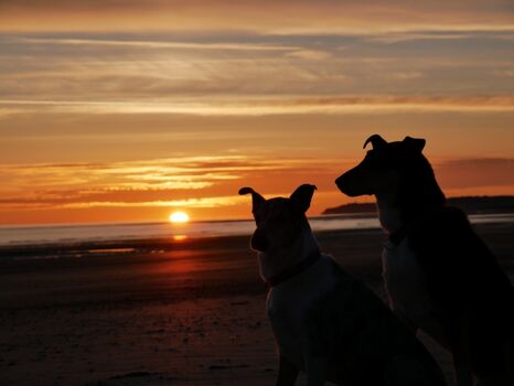 Traumhafte Sonnenuntergänge