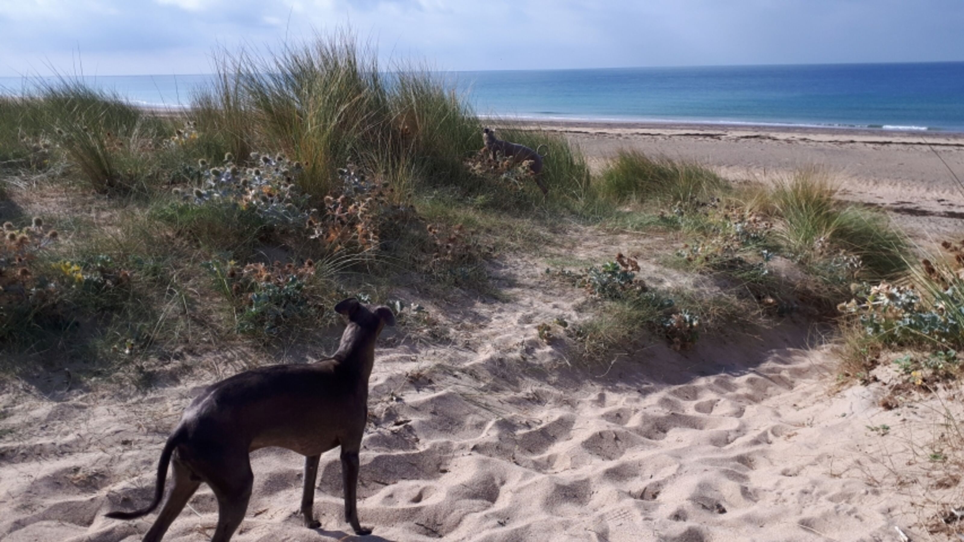 500 m zu Fuß zum Strand