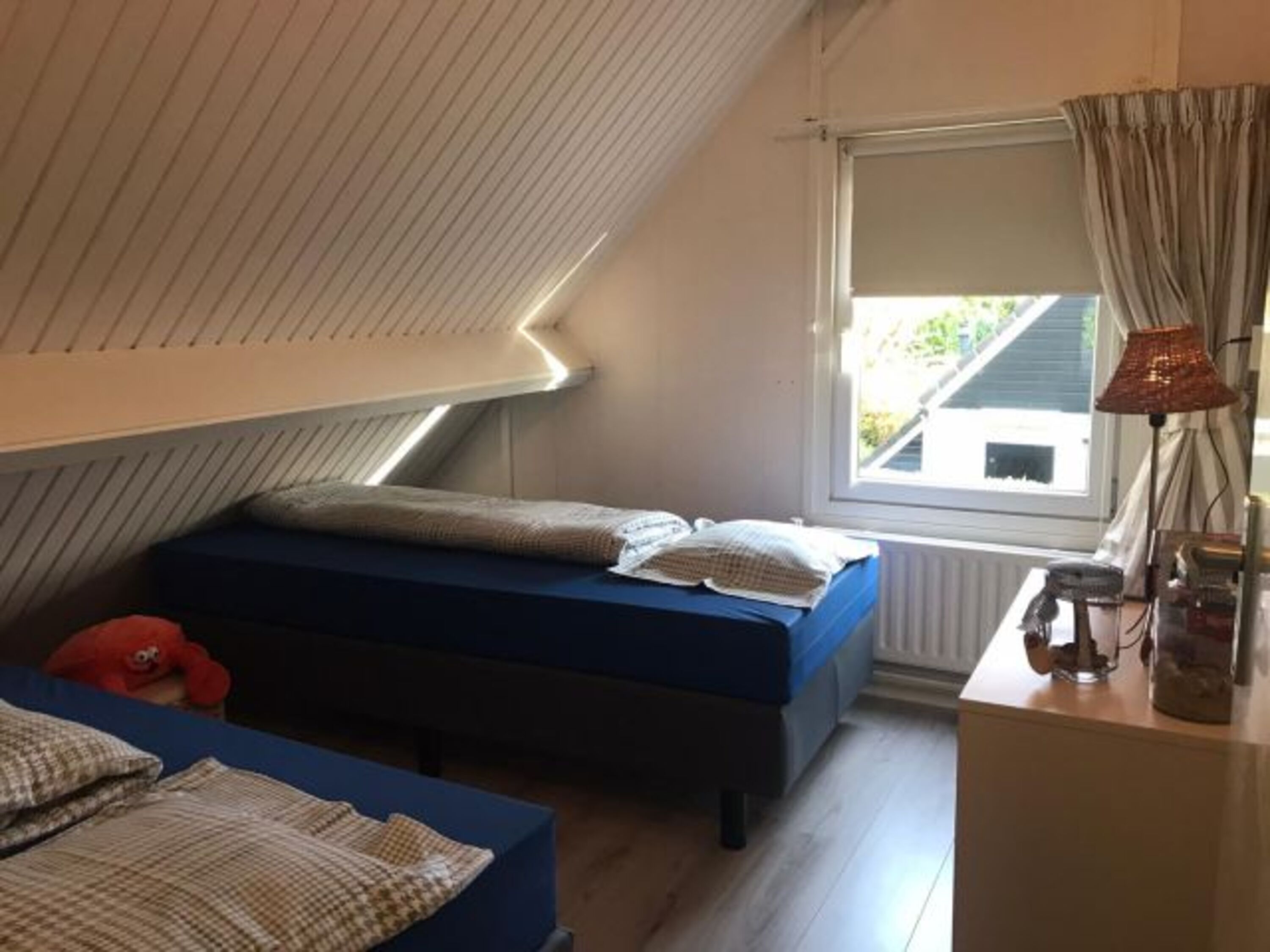 Bild 19