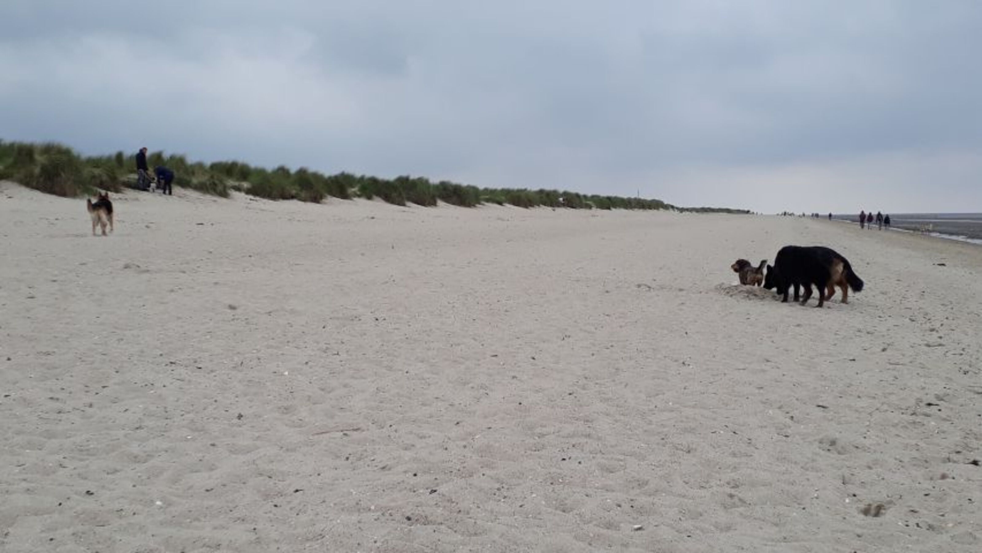 Bild 18