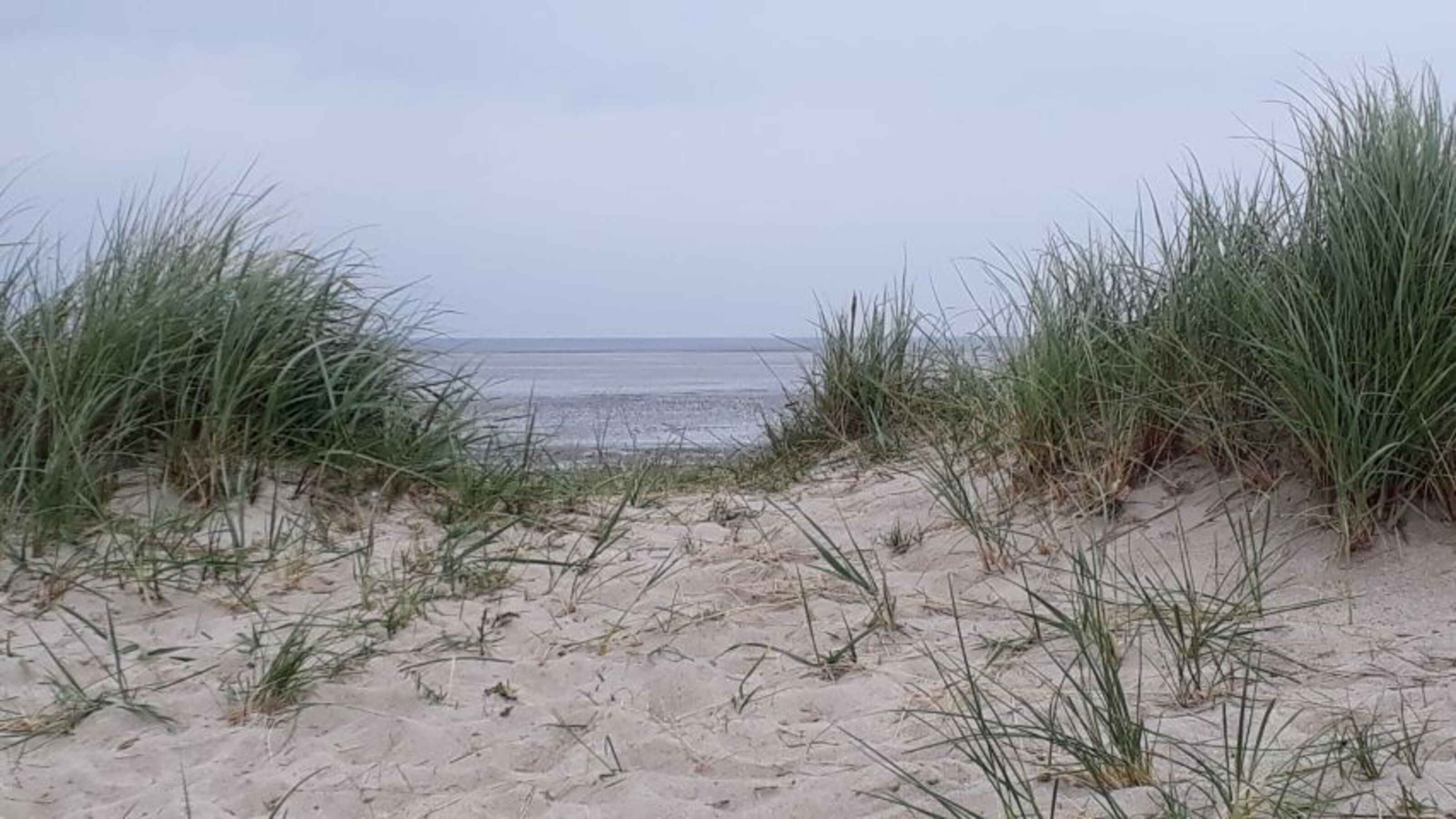 Bild 17