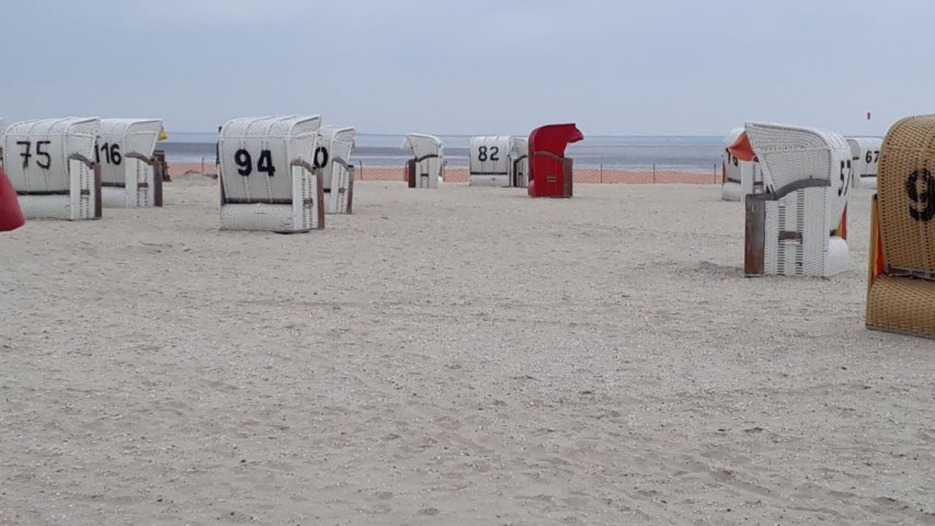 Bild 19