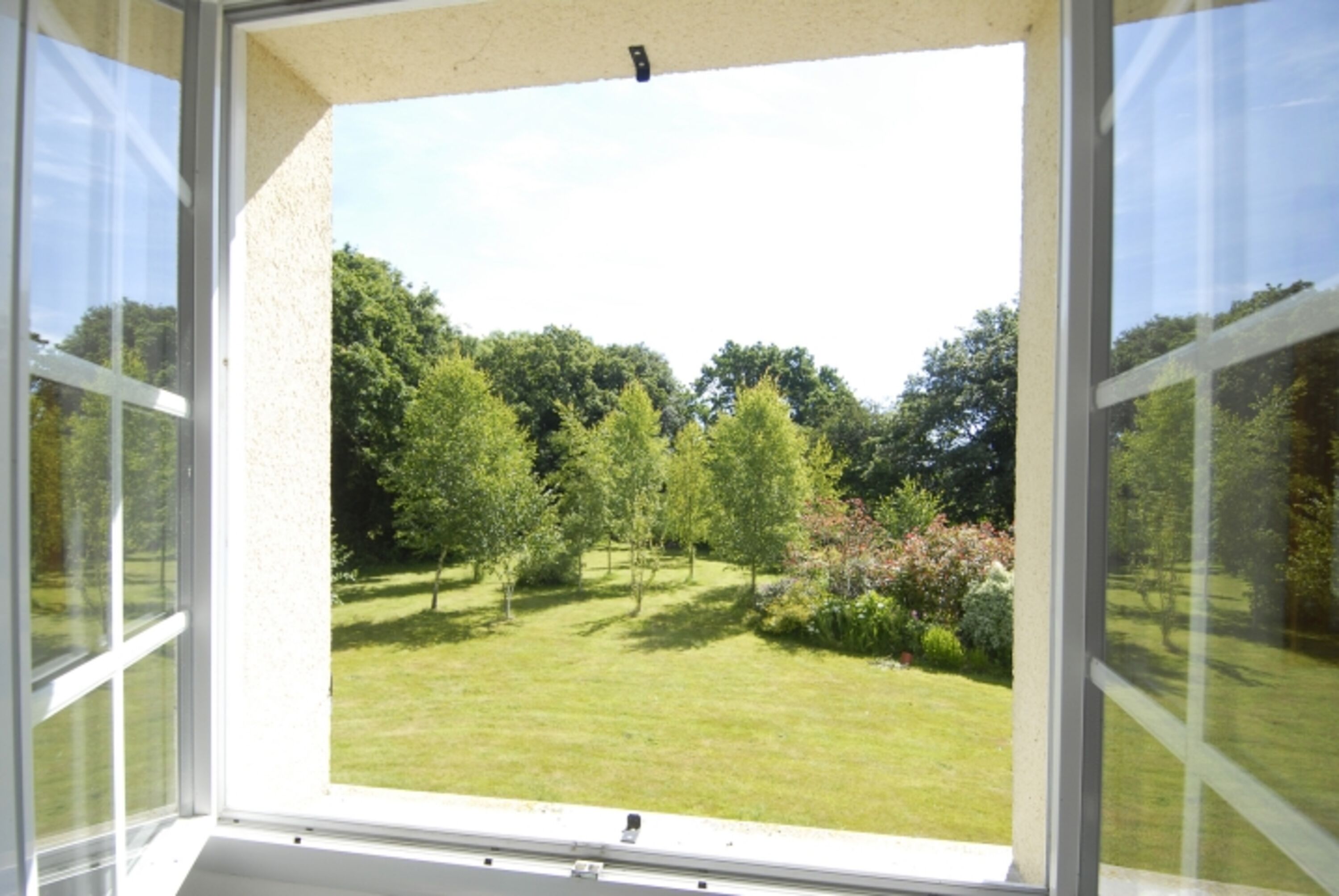 Ausblick in den Garten