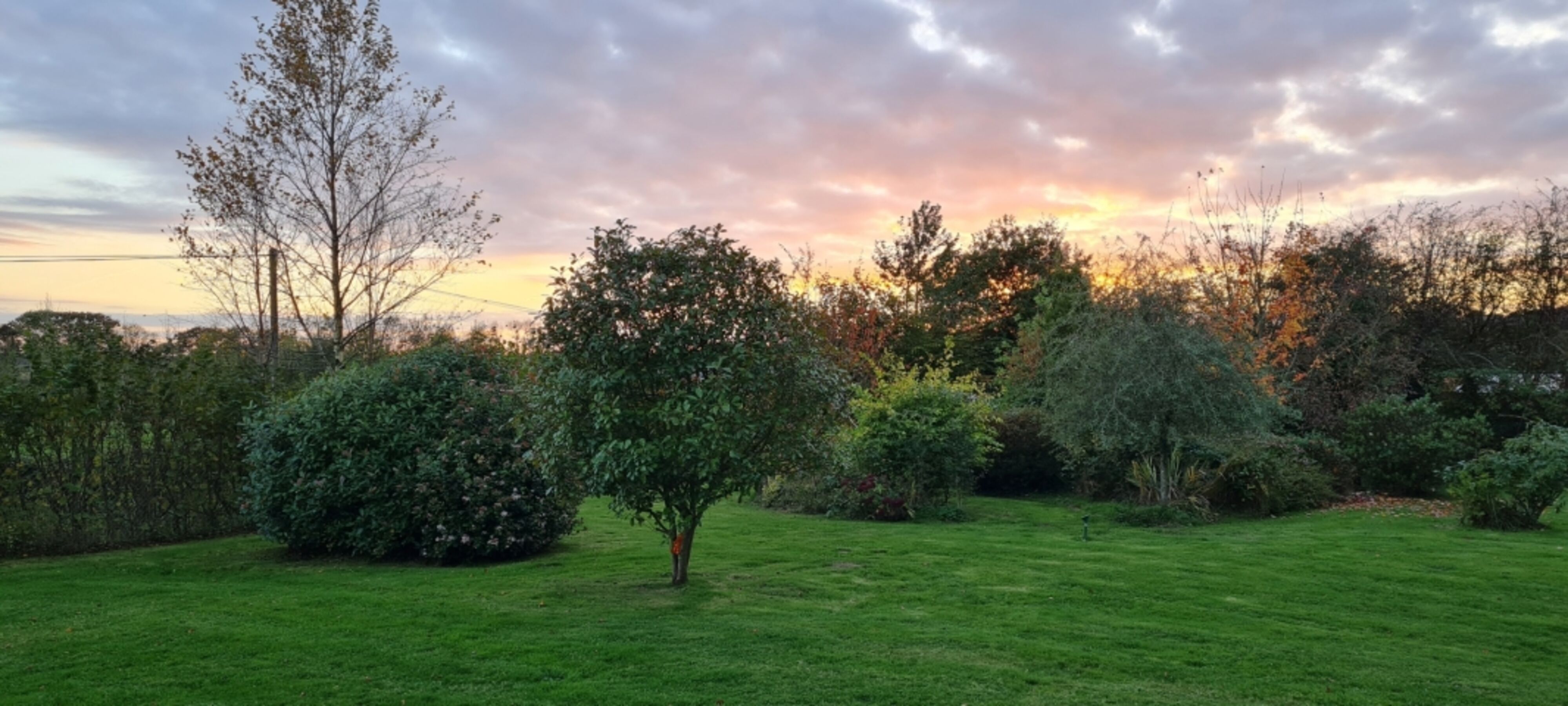Abendstimmung