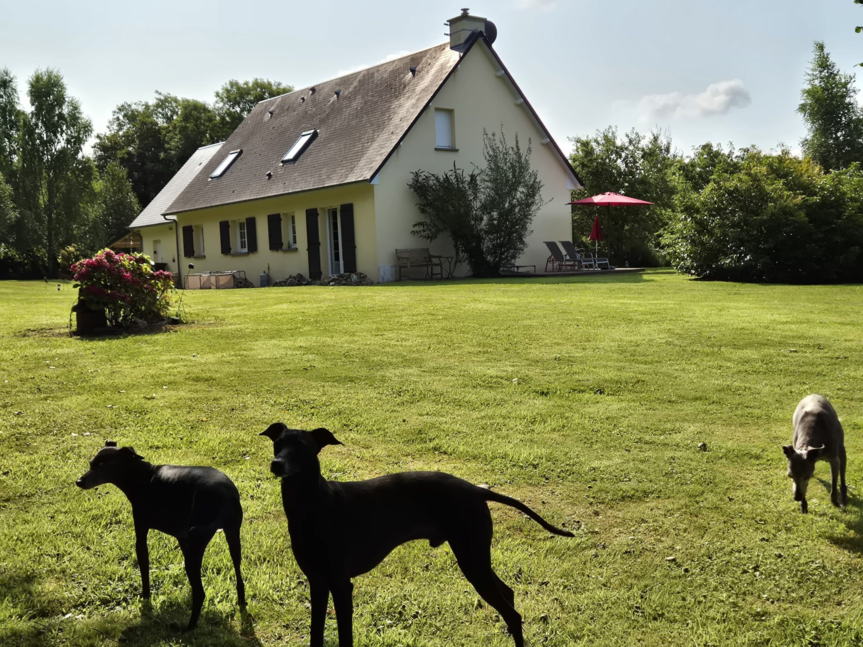 viel Platz und Freiheit im Garten