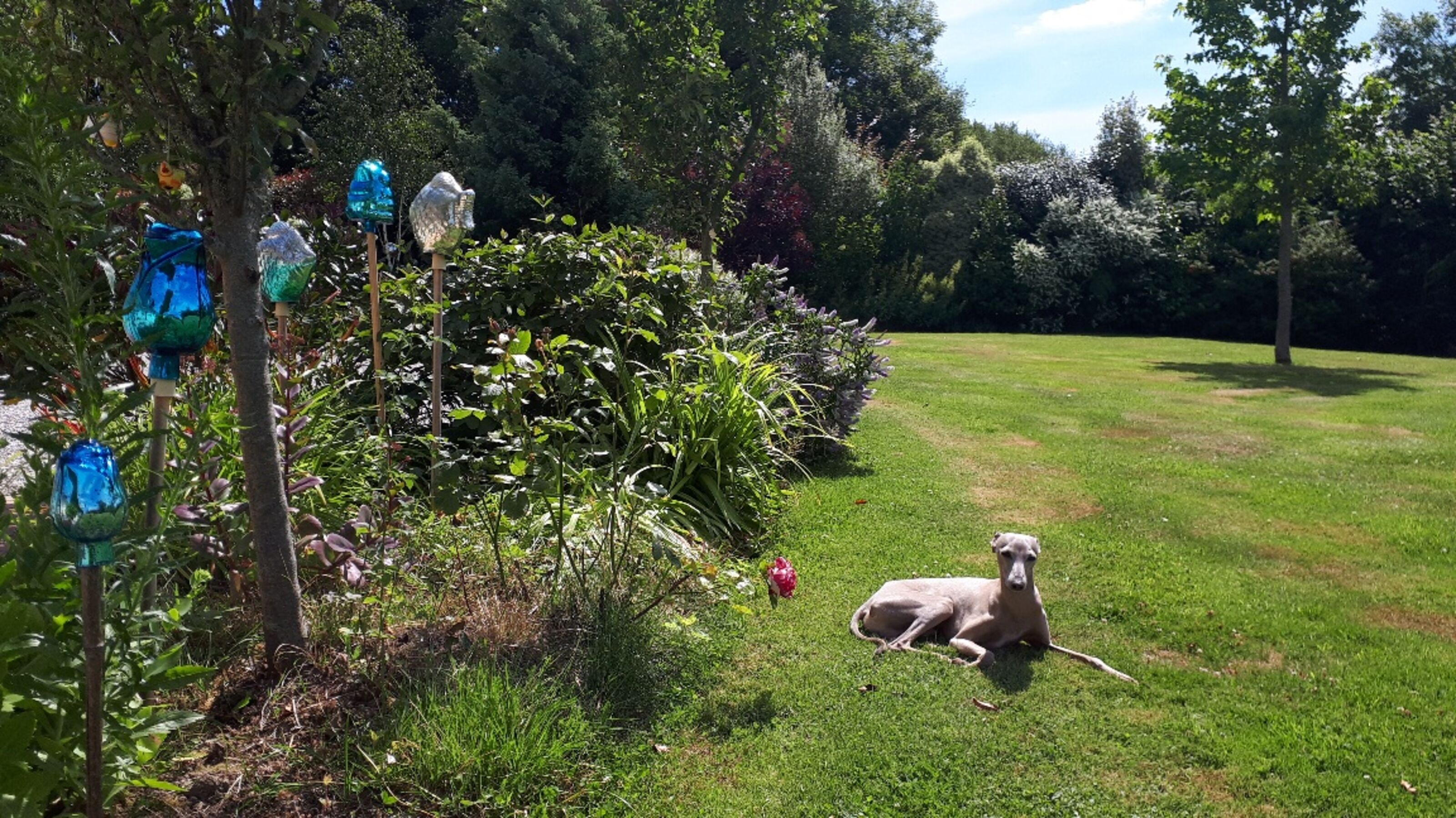 entspannt im Urlaub