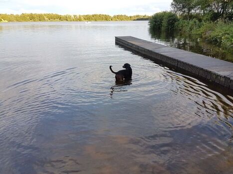Hundestrand Timmeler Meer, komplett eingezäunt