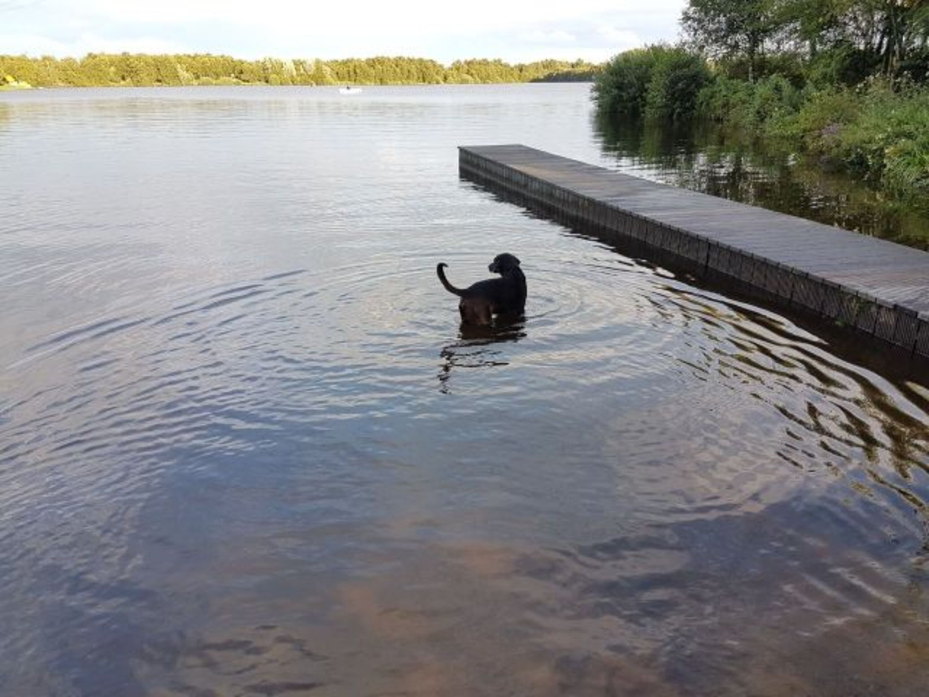 Hundestrand Timmeler Meer, komplett eingezäunt